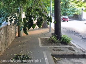 Viterbo - Viale Trieste