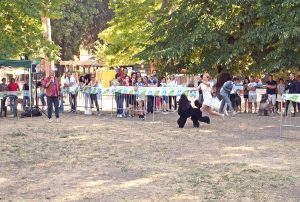 Viterbo - La 49esima esposizione internazionale canina "Città di Viterbo"