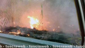 Tarquinia - Incendio sulla provinciale Lupo Cerrino