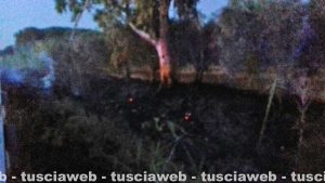 Tarquinia - Incendio sulla provinciale Lupo Cerrino