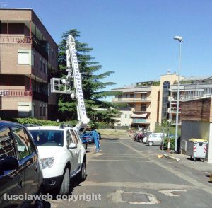Viterbo - Rifiuti alla Mazzetta
