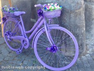 Tuscania - Festa della lavanda