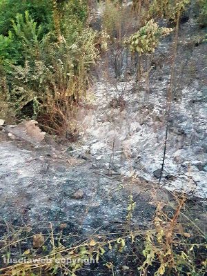 Fabrica di Roma - Incendio sulla collina del Barco 