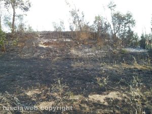 Vetralla - Incendio in localitá Pontarello