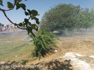 Viterbo - Sterpaglie in fiamme sulla Tuscanese