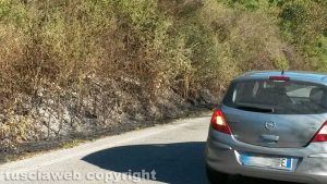 Barbarano Romano - Incendio di sterpaglie in loc. Vico Matrino