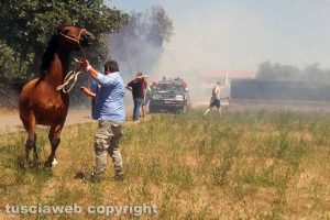 Tuscania - Incendio nel quartiere ex Gescal