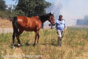 Tuscania - Incendio nel quartiere ex Gescal
