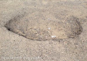Viterbo - Buche al parcheggio in piazzale Romiti