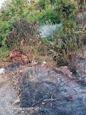 Fabrica di Roma - Incendio sulla collina del Barco 
