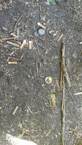 Viterbo - Via Carlo Cattaneo - Rifiuti al parco