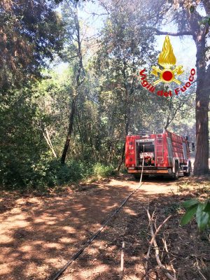 Roma - Inferno di fuoco a Castel Fusano - L'intervento dei vigili del fuoco