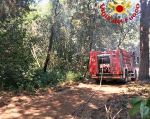 Roma - Inferno di fuoco a Castel Fusano - L'intervento dei vigili del fuoco