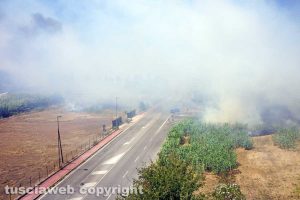 Viterbo - Incendio tra strada Bagni e la superstrada