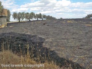 Pescia Romana - Fiamme sull'Aurelia