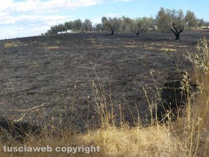 Pescia Romana - Fiamme sull'Aurelia