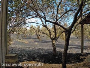 Pescia Romana - Fiamme sull'Aurelia