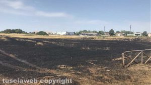 Viterbo - Incendio piscine Carletti