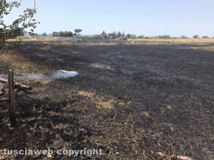 Viterbo - Incendio piscine Carletti