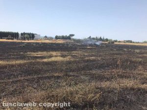 Viterbo - Incendio piscine Carletti