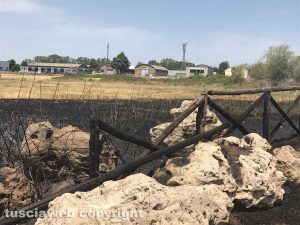 Viterbo - Incendio piscine Carletti