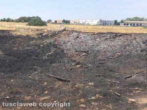 Viterbo - Incendio piscine Carletti