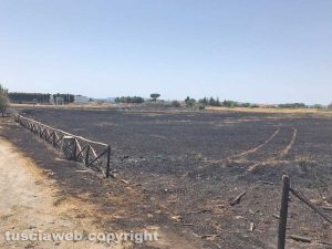 Viterbo - Incendio piscine Carletti