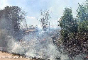 Incendio sulla Tuscanese