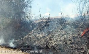 Incendio sulla Tuscanese