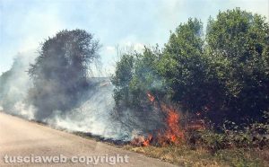 Un incendio a bordo strada