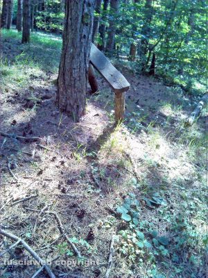 Monti Cimini - Parco nel degrado