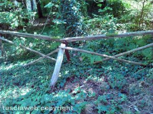 Monti Cimini - Parco nel degrado