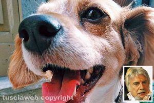 Willy e nel riquadro lo psichiatra Paolo Crepet