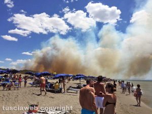 Capalbio - L'incendio sulla spiaggia in località Palude del Chiarone