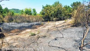 Viterbo - Incendio sulla Cimina