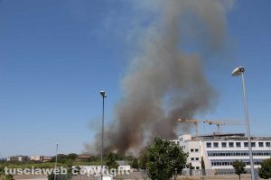 Viterbo - L'incendio dietro il cimitero nuovo