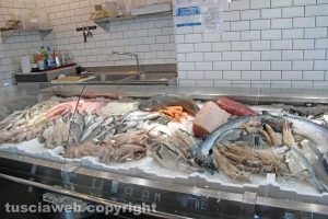 Il fishmarket di Viterbo