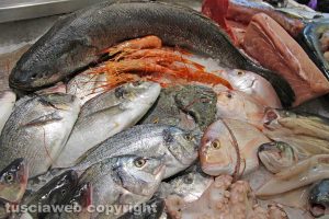 Il fishmarket di Viterbo