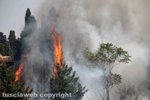 Viterbo - L'incendio intorno al cimitero nuovo