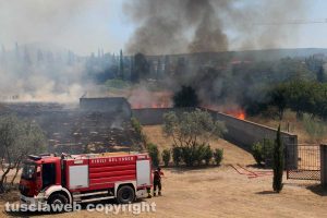 Viterbo - L'incendio intorno al cimitero nuovo - L'intervento dei vigili del fuoco