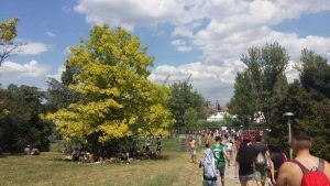 I fan di Vasco Rossi iniziano a riempire il Modena Park