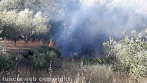Gradoli - Incendio su costa Montagnola