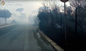 Ostia - L'incendio alla pineta di Castel Fusano