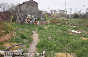 Viterbo - Incendio vicino strada Salamaro