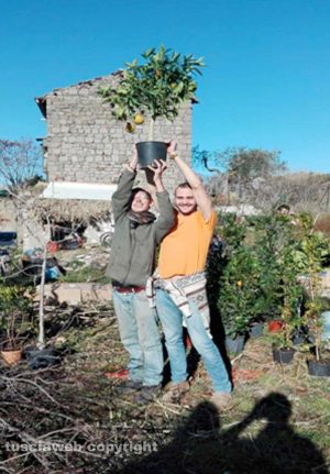 Viterbo - Il terreno vicino strada Salamaro curato dagli studenti dell'Unitus