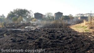 Viterbo - Incendio vicino strada Salamaro