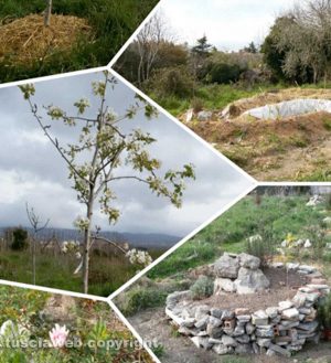 Viterbo - Il terreno vicino strada Salamaro curato dagli studenti dell'Unitus