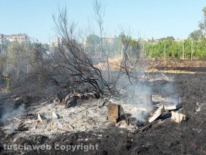 Viterbo - Incendio vicino strada Salamaro