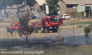 Viterbo - Sterpaglie in fiamme sulla Tuscanese
