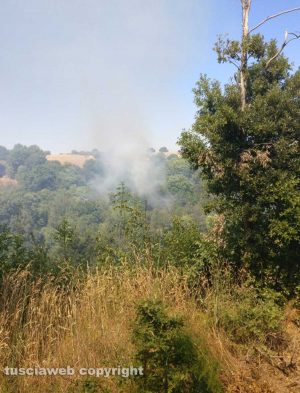 Weekend di fuoco nell'Alto viterbese 
